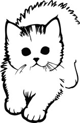  cute cat sitting casually 