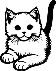  cute cat sitting casually 