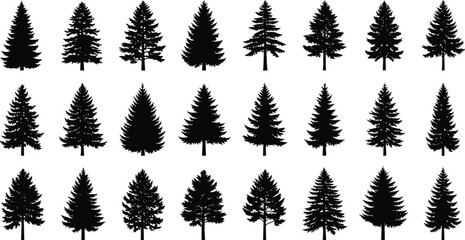 Obraz premium Coniferous tree silhouette grid, pine and fir tree shapes, forest elements, black outline, nature design, vector illustration, evergreen trees