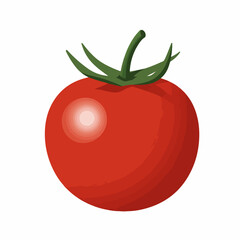 Handdrawn Ripe Red Tomato with Green Stem Fresh Produce Illustration