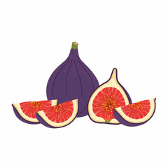 Flat Illustration of Delicious Fig with Slice Fruit Food