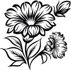 Black and white illustration of a blooming daisy flower with leaves and a bud