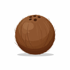 Flat Style Detailed Coconut Fruit Tropical Illustration Delicious Food