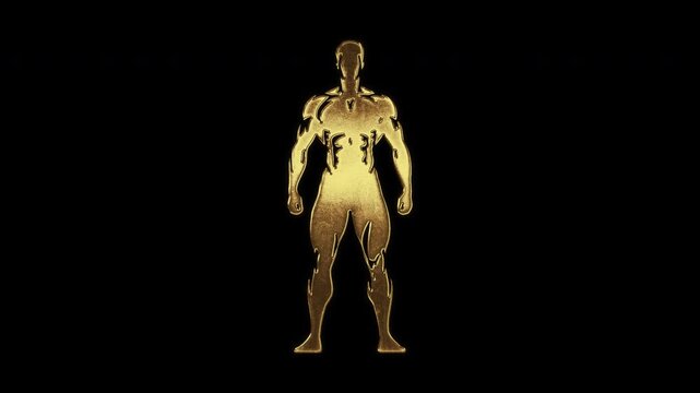 Very muscular man silhouette with slightly reflected outlines on a gold foil-like surface, loop, alpha channel

