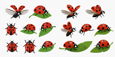 Illustration of ladybugs in different poses, some on leaves, some flying.