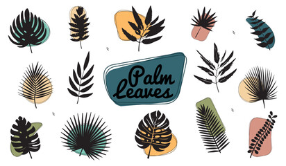 Palm Leaves Set - Vector Illustrations Isolated On White Background