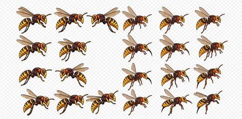 A collection of cartoon wasps in various poses, arranged in a grid pattern on a transparent background.