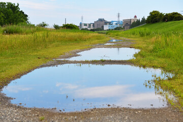 雨が上がった後水溜まりが残る水辺の公園