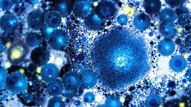Lassa virus cytopathic effects in infected tissue microscopy video with granular necrosis