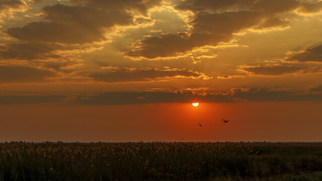 View of the sun sinking into the horizon, casting a warm, orange glow over the landscape with birds flying across the skyline, Sepupa, North-West District, Botswana.