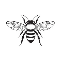 Obraz premium Bee silhouette, Detailed bee silhouettes collection, bee logo silhouette vector illustration, honey bee vector silhouette illustration isolated on white background