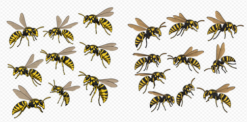 Illustration of multiple wasps with yellow and black stripes and translucent wings.