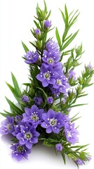 Obraz premium Beautiful Purple Flowers Bouquet.
