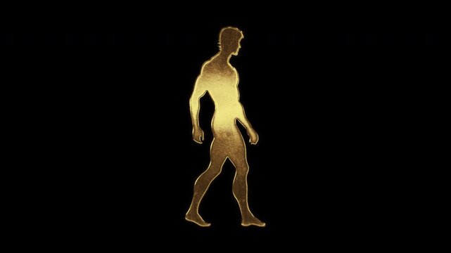 Walking muscular man with slightly reflected outlines on a gold foil-like surface, loop, alpha channel

