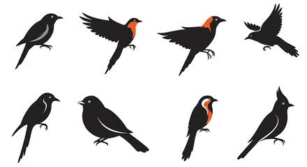 Obraz premium Avian Silhouettes