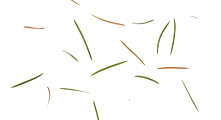 Scattered pine needles on white background create a delicate, natural pattern