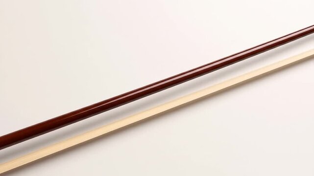 Polished Violin Bow and its Wood Stick