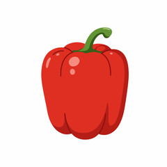 Flat Style Detail Red Bell Pepper Organic Ingredient Food Illustration