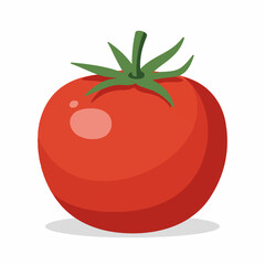 Simple Cartoon Style Single Tomato Vegetable Fresh Ingredient Illustration