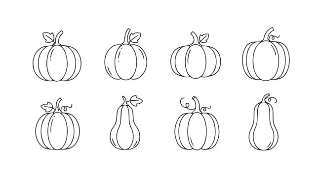 Vector art of pumpkins