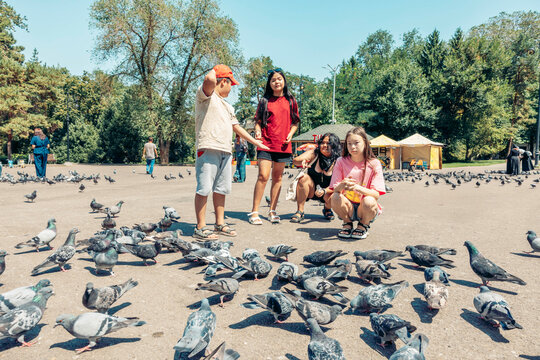A group of children interacts with pigeons in an urban park. The scene includes diverse kids, with one boy pointing and others observing the birds.