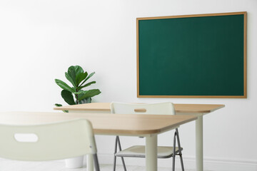 Blank green chalkboard, desks, chairs and plant in classroom