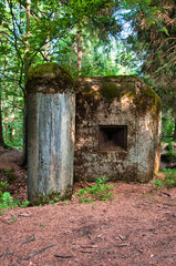 Dvorský les (Rýchory, Krkonoše)  rezerwat przyrody. Porośnięty mchem betonowy bunkier w gęstym lesie. Natura odzyskująca ruiny stworzone przez człowieka przywołuje na myśl tajemnicę i historię.  © Pol Badger