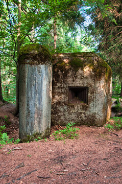 Dvorsk&yacute; les (R&yacute;chory, Krkono&scaron;e)  rezerwat przyrody. Porośnięty mchem betonowy bunkier w gęstym lesie. Natura odzyskująca ruiny stworzone przez człowieka przywołuje na myśl tajemnicę i historię.
