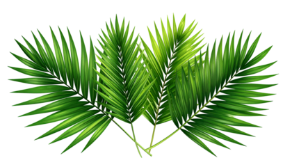 Lush green palm frond arrangement