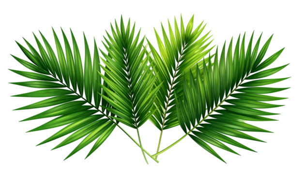 Lush green palm frond arrangement