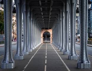 Iron Columns and Vanishing Lines Under Bir-Hakeim Bridge, Paris