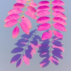 Obraz premium Vibrant pink leaves casting shadows on a smooth light background during a sunny day in a garden Generative AI