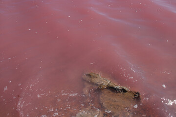 Hutt Lagoon Pink Lake - Port Gregory - Australia