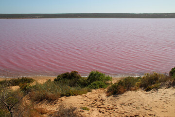 Hutt Lagoon Pink Lake - Port Gregory - Australia