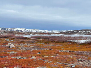 Northern landscape in Polar tundra. The Teriberka Nature Park on the shore of the Barents Sea. Kola Peninsula, Russia.