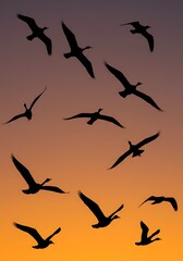 Fototapeta premium Ember Flight