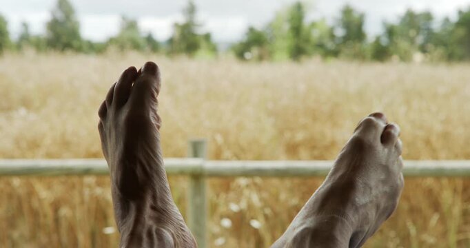 The bare feet of a man lying down stretch out and cross over each other in his van with the tailgate open, in front of a yellow field of grain, trees and sky.