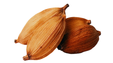 Three whole dried brown cardamom pods isolated on a transparent background.