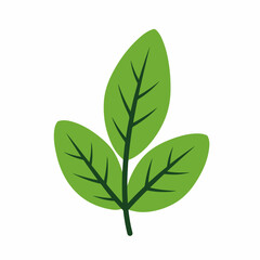 Flat Artistic Leaf Illustration with Fresh Green Color Detailed Design