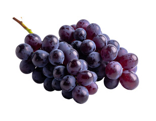 Fototapeta premium Close-up of a cluster of ripe, dark purple grapes with green stem
