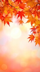 Vivid autumn leaves hang over bokeh background