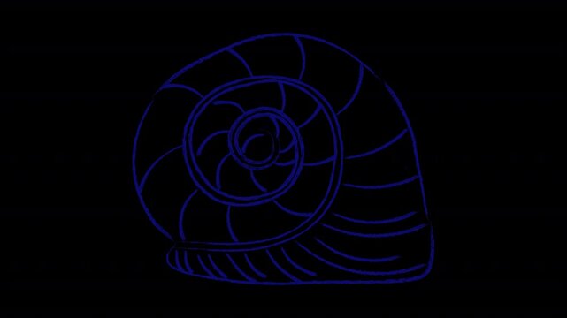 Animated spiral shell in hand drawn style with dry pastel texture. Alpha channel