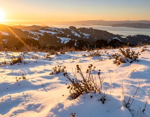 Snowy hillside at sunset