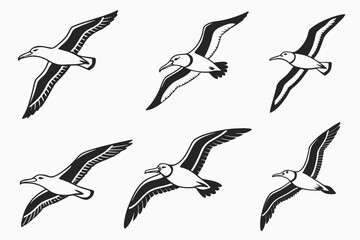 Obraz premium Minimalist albatross flying icon set