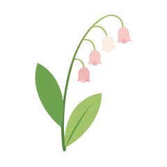 Simple Pink Lily of the Valley Flower Vector Illustration on White