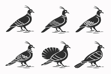 Obraz premium Minimalist crested pigeon icon set with geometric elements
