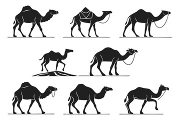 Desert camel silhouette icon set