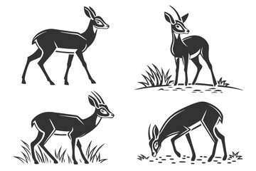 Minimalist dik dik antelope icon set