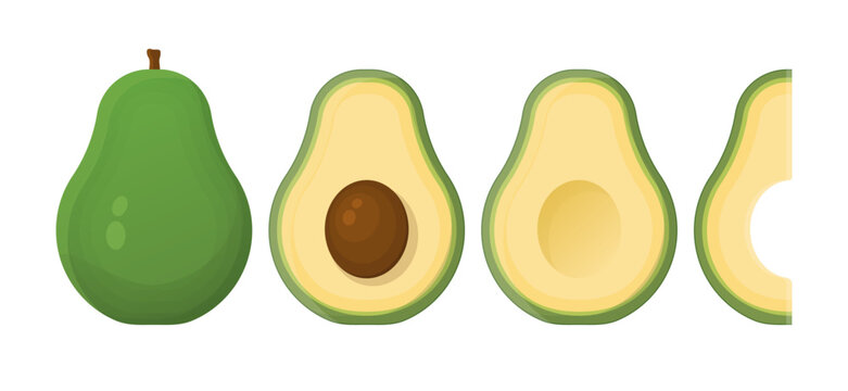 Avocado green, tropical healthy nutrition. Ripe avocados fruits, avocado slices set. Health food concept. Vector illustration.