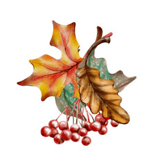 Naklejka premium Autumn bouquet of oak and maple leaves with vibrant viburnum berries,rendered in soft watercolor and textured colored pencils.For seasonal cards,childrens books and rustic decor hand drawn arrangement